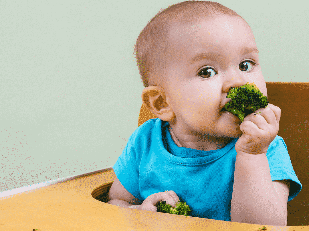 baby self feeding broccoli using the division of responsibility where baby is in charge of what and how much they eat