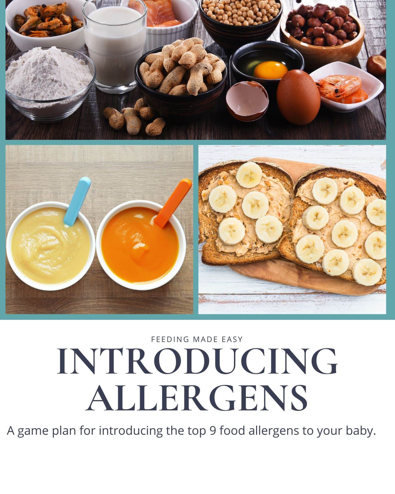 Introducing Allergens Cover with the tagline a game plan for introducing the top 9 allergens to your baby