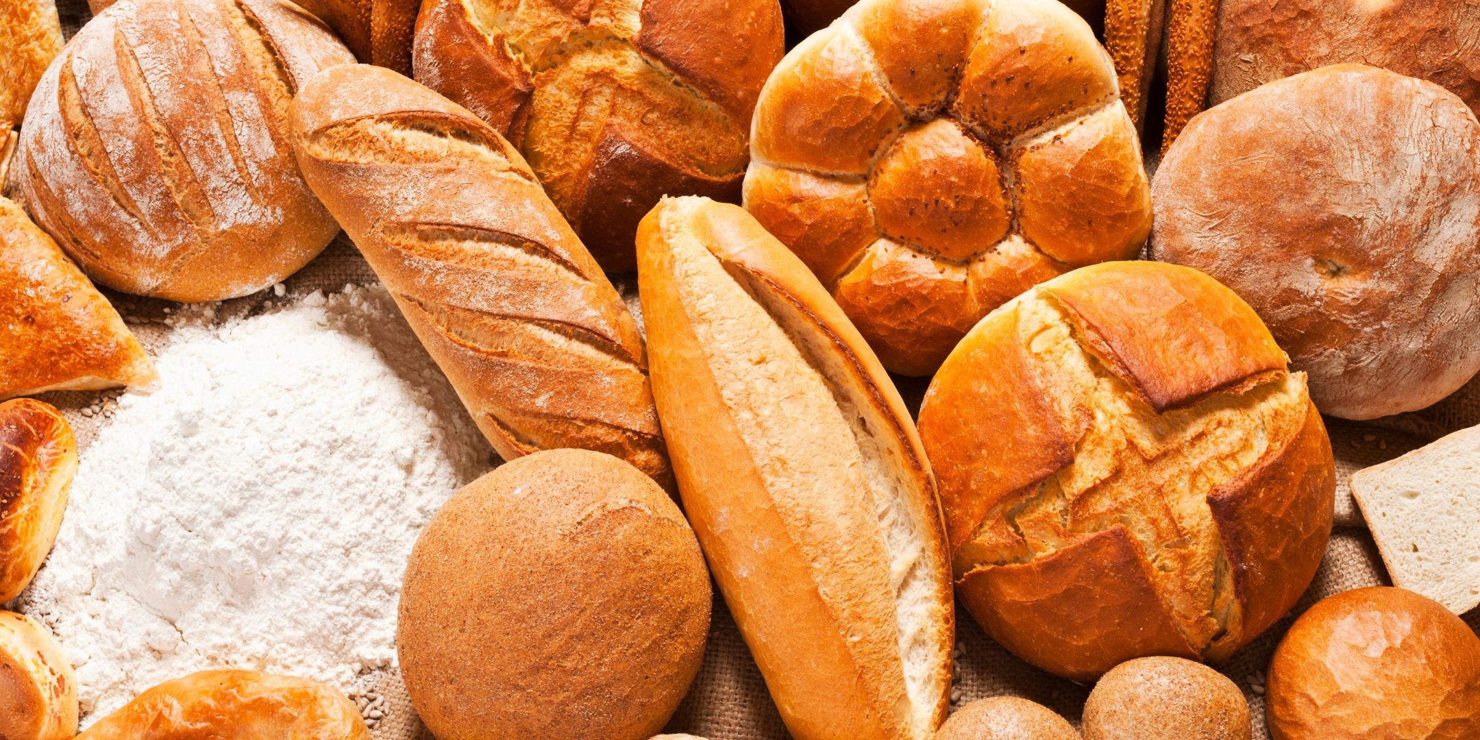 a variety of styles of bread